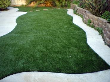 Artificial Grass Photos: Artificial Turf South Gate California Lawn  Backyard